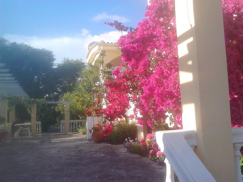 Appartamenti Angelika Perdika  Exterior foto